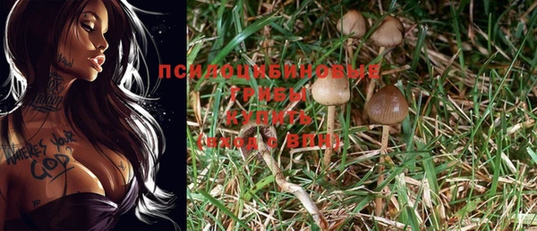 бутират Верея